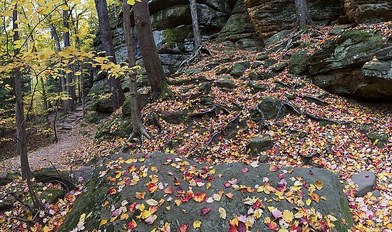 RAW files 113, 114, 106-111