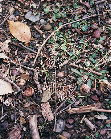 Autosave-File vom d-lab2/3 der AgfaPhoto GmbH