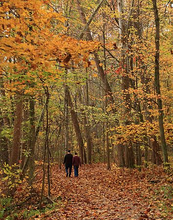 Fall Color Hinking at Deep Lock Quarry