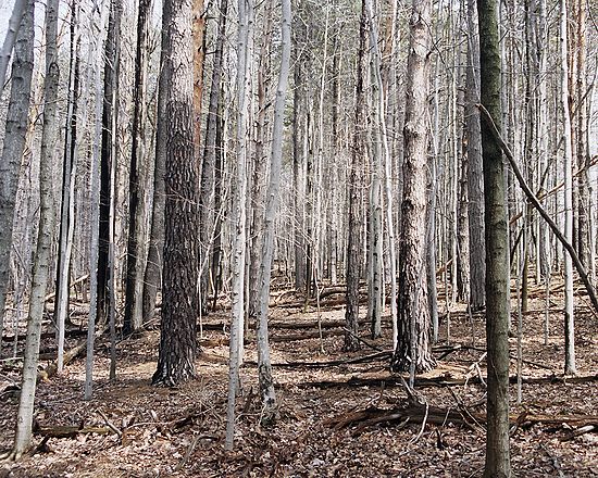 Autosave-File vom d-lab2/3 der AgfaPhoto GmbH