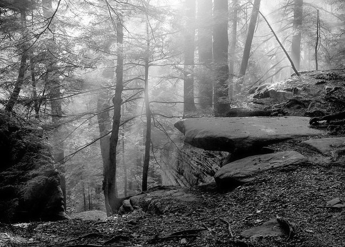 Honorable Mention\n\nLandscape\n\nKendall Ledges Sunrise\nCVNP