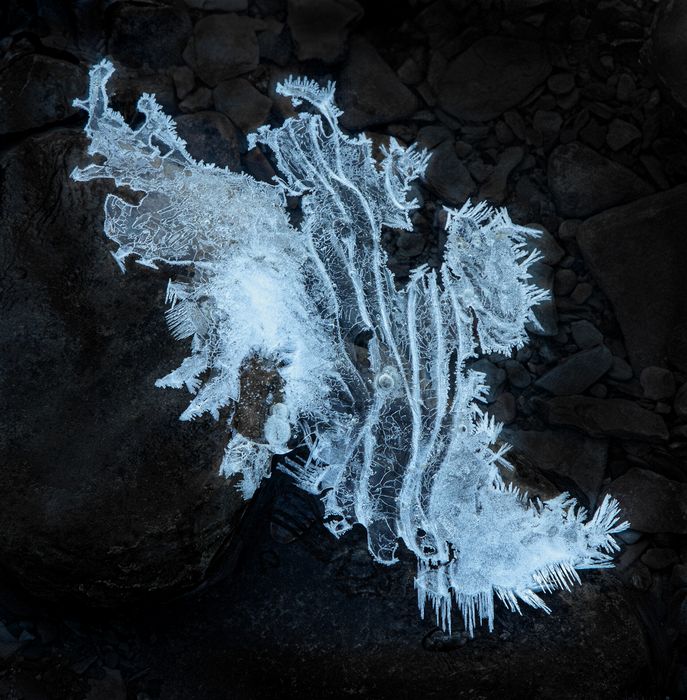 Honorable Mention\n\nClose-up\n\nFrost Flower\nCVNP, Brandywine Gorge