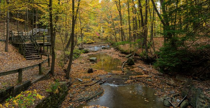 Third Place\n\nHand of Man\n\nBridal Veil Falls in Gold\nBedford Reservation