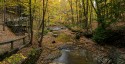 Third Place\n\nHand of Man\n\nBridal Veil Falls in Gold\nBedford Reservation