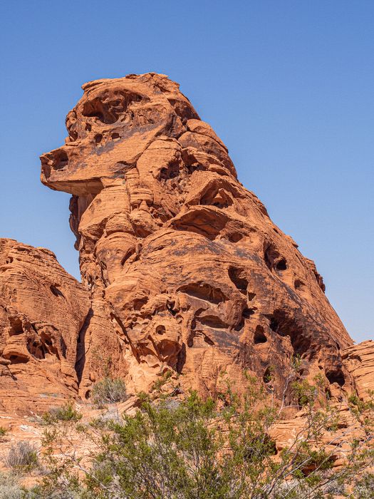 Landscape\n\nValley of Fire Dog\nValley of Fire SP