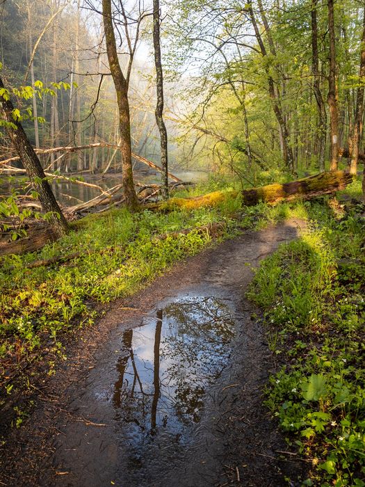 Landscape\n\nEarly Bird Reflection\nMohican State Park