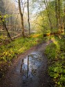 Landscape\n\nEarly Bird Reflection\nMohican State Park