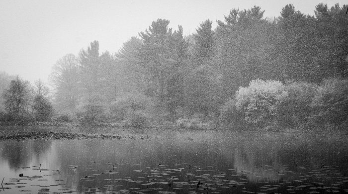 Landscape\n\nMay Snow\nTinkers Creek Nature Preserve