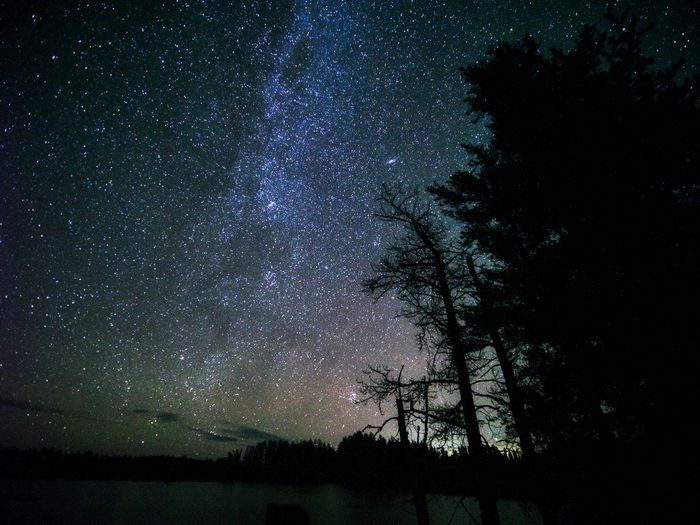 Landscape\n\nNorthern Exposure\nSeney Wildlife Refuge, MI