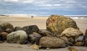 Landscape\n\nPlum Island Seashore\nParker River National Wildlife Refuge