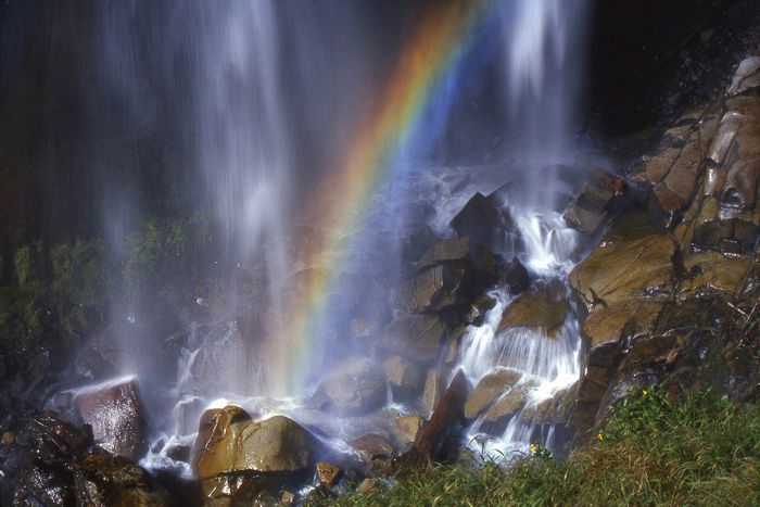 Landscape\n\nNarada Falls\nMt. Ranier NP