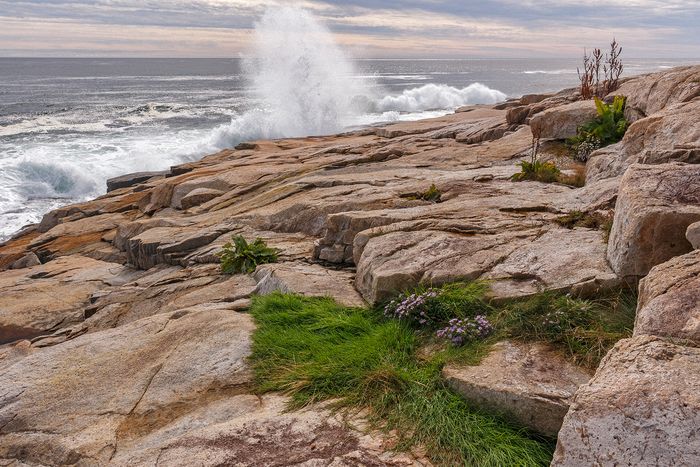 Landscape\n\nSchoodic Point\nAcadia NP