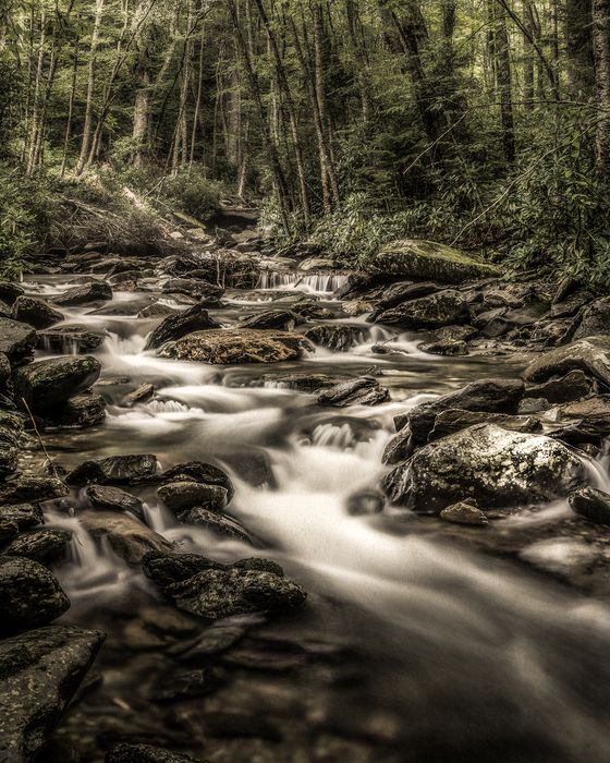 Landscape\n\nRunning Brook\nGreat Smoky Mountains NP