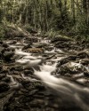 Landscape\n\nRunning Brook\nGreat Smoky Mountains NP