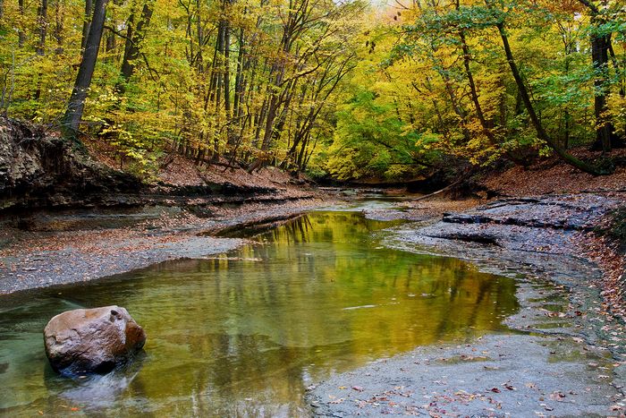 Landscape\n\nAutumn Creek\nBrooklyn Heights Village Park