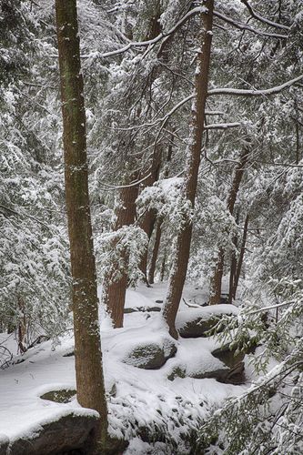 Stacked from 3 images. Method=B (R=8,S=4)