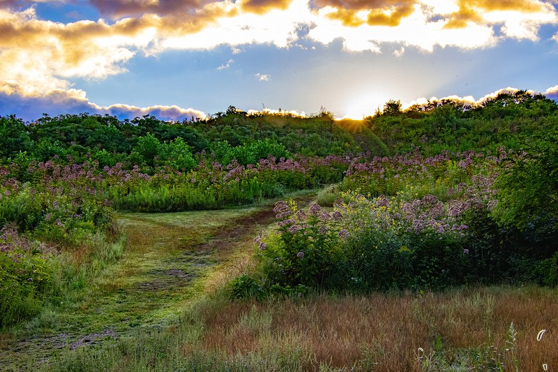Kendall Hills sunrise