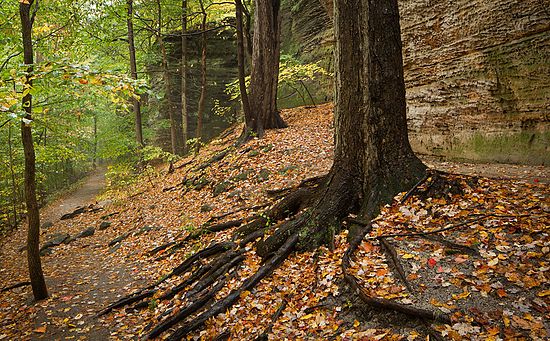 Stacked from 3 images. Method=B (R=8,S=4)