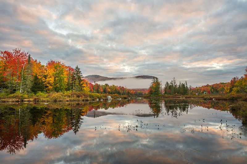 Tim Thomas Best of Show\n\nLandscape\n\nMorning Reflections	\nGroton State Forest, VT