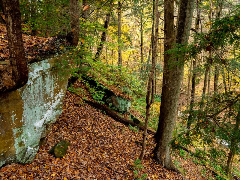 Landscape\n\nBrandywind Gorge\nGorge Boardwalk