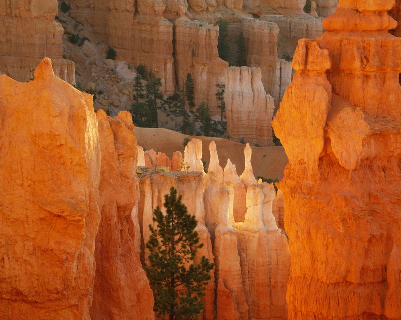 Landscape\n\nEarly Glow\nBryce Canyon NP