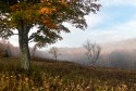 Landscape\n\nMorning Fog\nCanaan Valley WV
