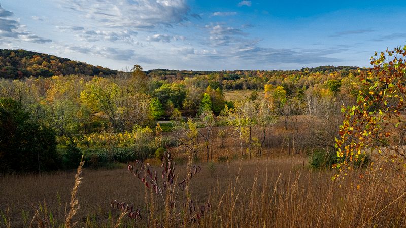 Landscape\n\nStumpy Basin\nSouth of I-80