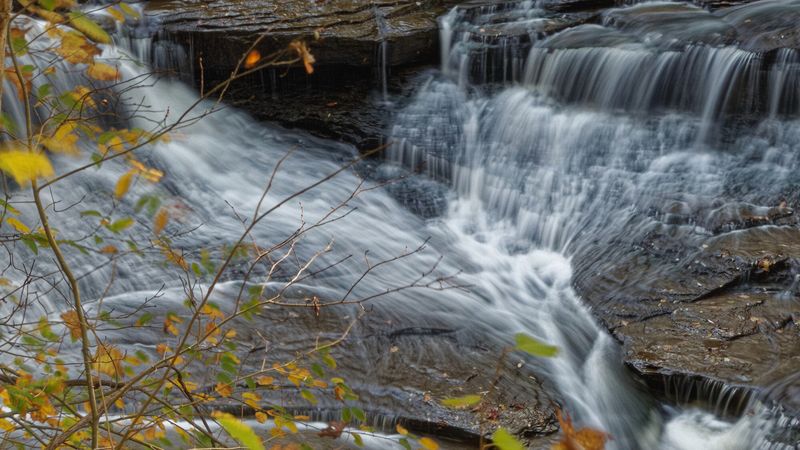 CVPS South Chagrin Reservation-03