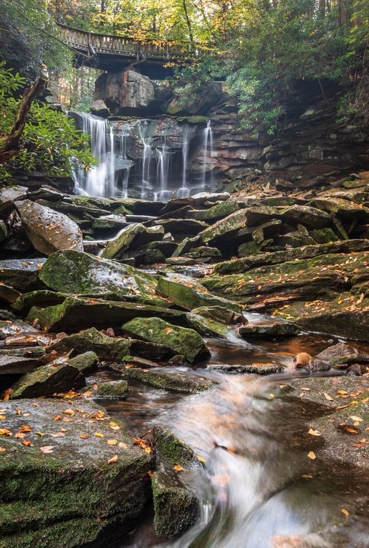 Third Place Landscape\n\nElakala Falls\n\nBlackwater Falls State Park