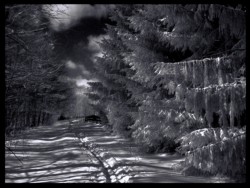 Landscape\n\nWinter Fantasy Infrared\n\nCVNP
