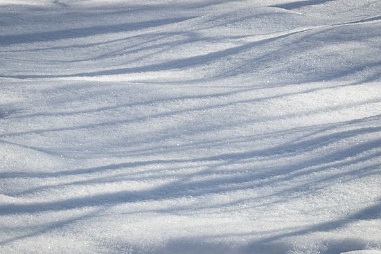 Stacked from 4 images. Method=B (R=8,S=4)