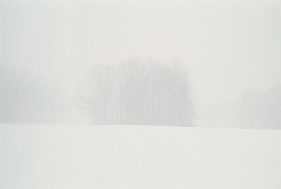 Portra 160, 50/1.4, 1/125 at f/8