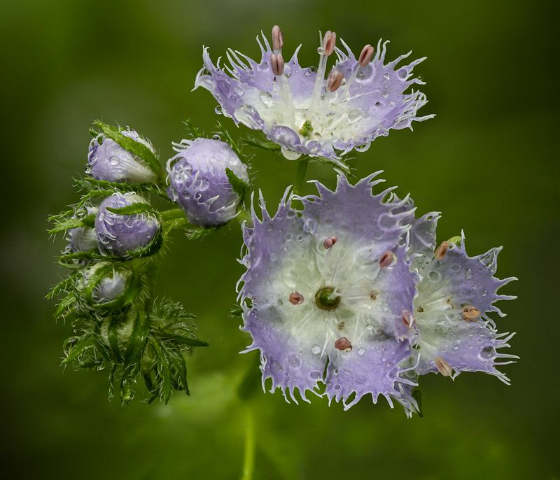 Stacked from 24 images. Method=A (R=32,S=4)