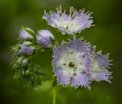 Stacked from 24 images. Method=A (R=32,S=4)