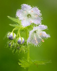 Stacked from 28 images. Method=B (R=8,S=4)