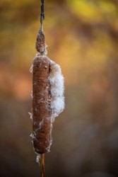 Stacked from 15 images. Method=A (R=8,S=4)