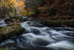 Tim Thomas Best of Show\nFirst place, Landscape\n\nTinkers Creek\n\nBedford Reservation