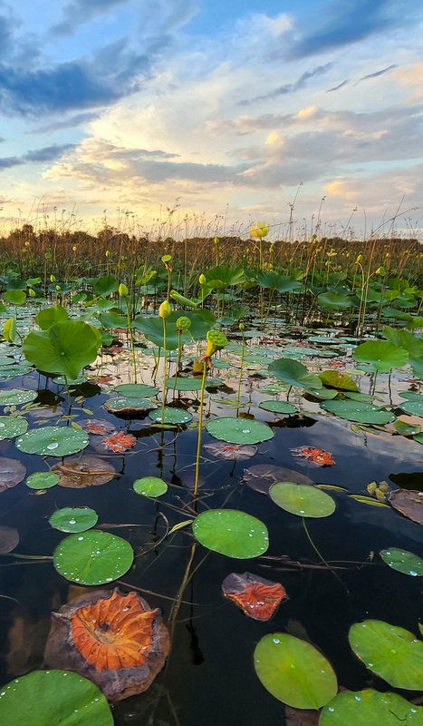 Landscape\n\nDusk at Nimisila