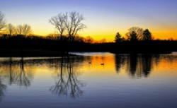 Landscape\n\nPeaceful Sunrise\n\nHudson Springs State Park