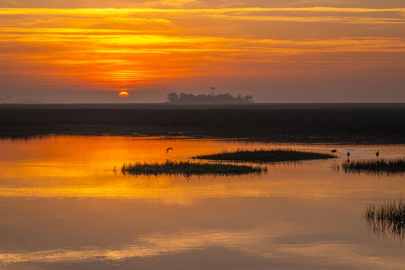 Landscape\n\nSt. Marks Sunrise\n\nSt. Marks National Wildlife Refuge