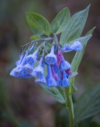 Stacked from 32 images. Method=A (R=8,S=4)