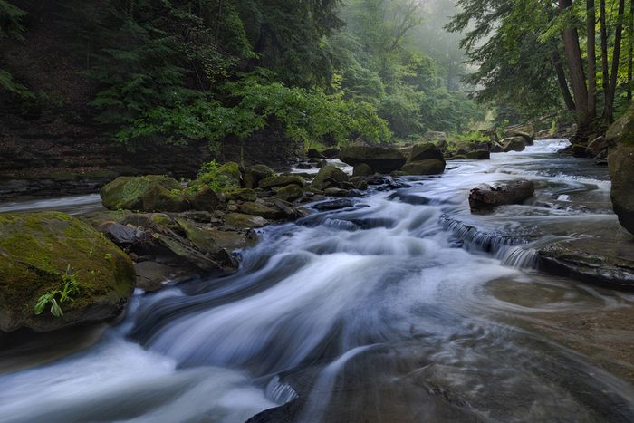 First Place Landscape\n\nMisty Morning\n\nBedford Reservation