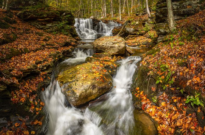 Third Place, Landscape\n\nMiners Run\n\nMcIntyre Wild Area, PA