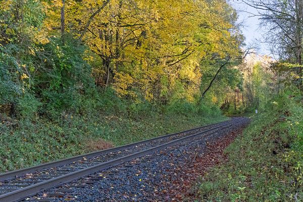 CVNP\n\nFall Morning\n\nCVNP