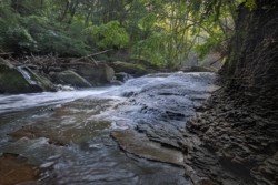 Landscape\n\nFlow and Light\n\nBedford Reservation