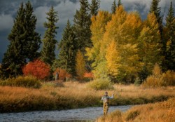 Landscape\n\nFly Fishing in Blacktail Ponds\n\nGrand Teton NP