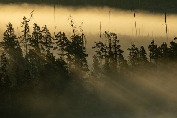 Landscape\n\nSuntise in Yellowstone\n\nYellowstone NP