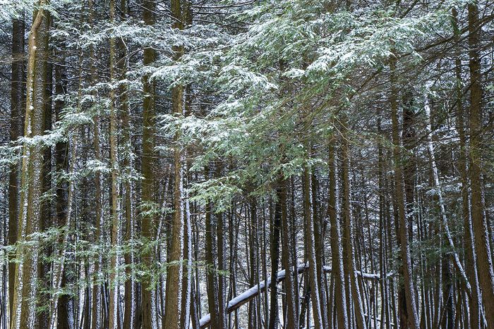 The Ledges, Cuyahoga Valley