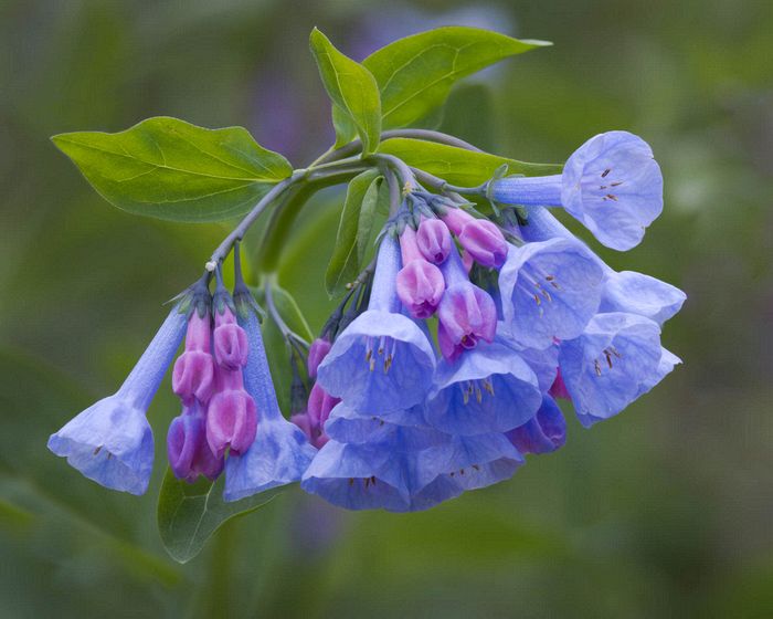 Stacked from 50 images. Method=A (R=9,S=3)