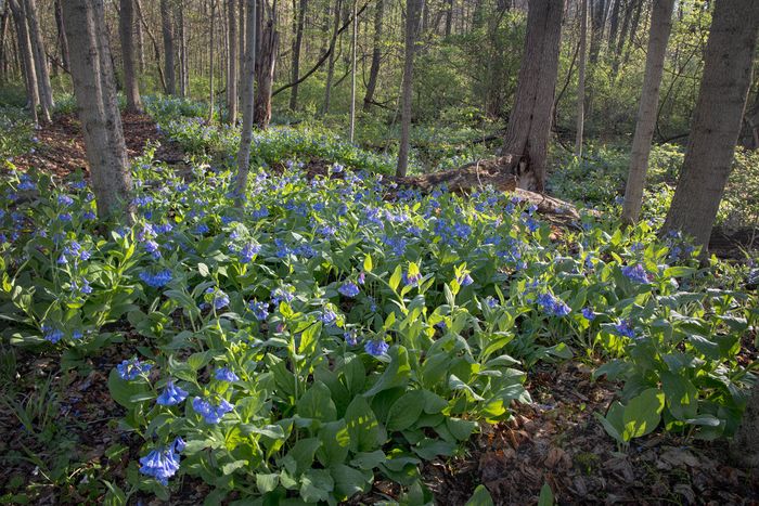 Stacked from 3 images. Method=A (R=9,S=3)